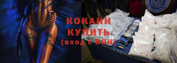 СК Кукмор