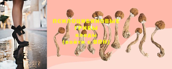 MDMA Лагань