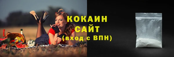 ALPHA PVP Лабытнанги