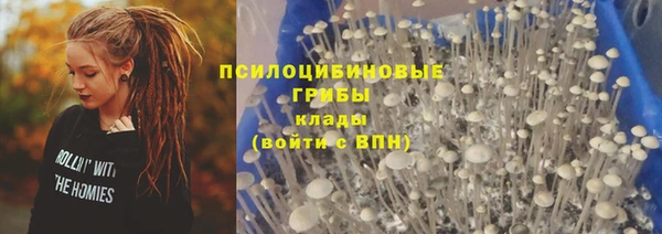 MDMA Лагань