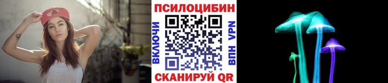Псилоцибиновые грибы MAGIC MUSHROOMS  Купить закладки  Новоалександровск 